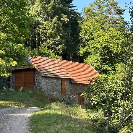 Maison D'helene Vakantiehuis *